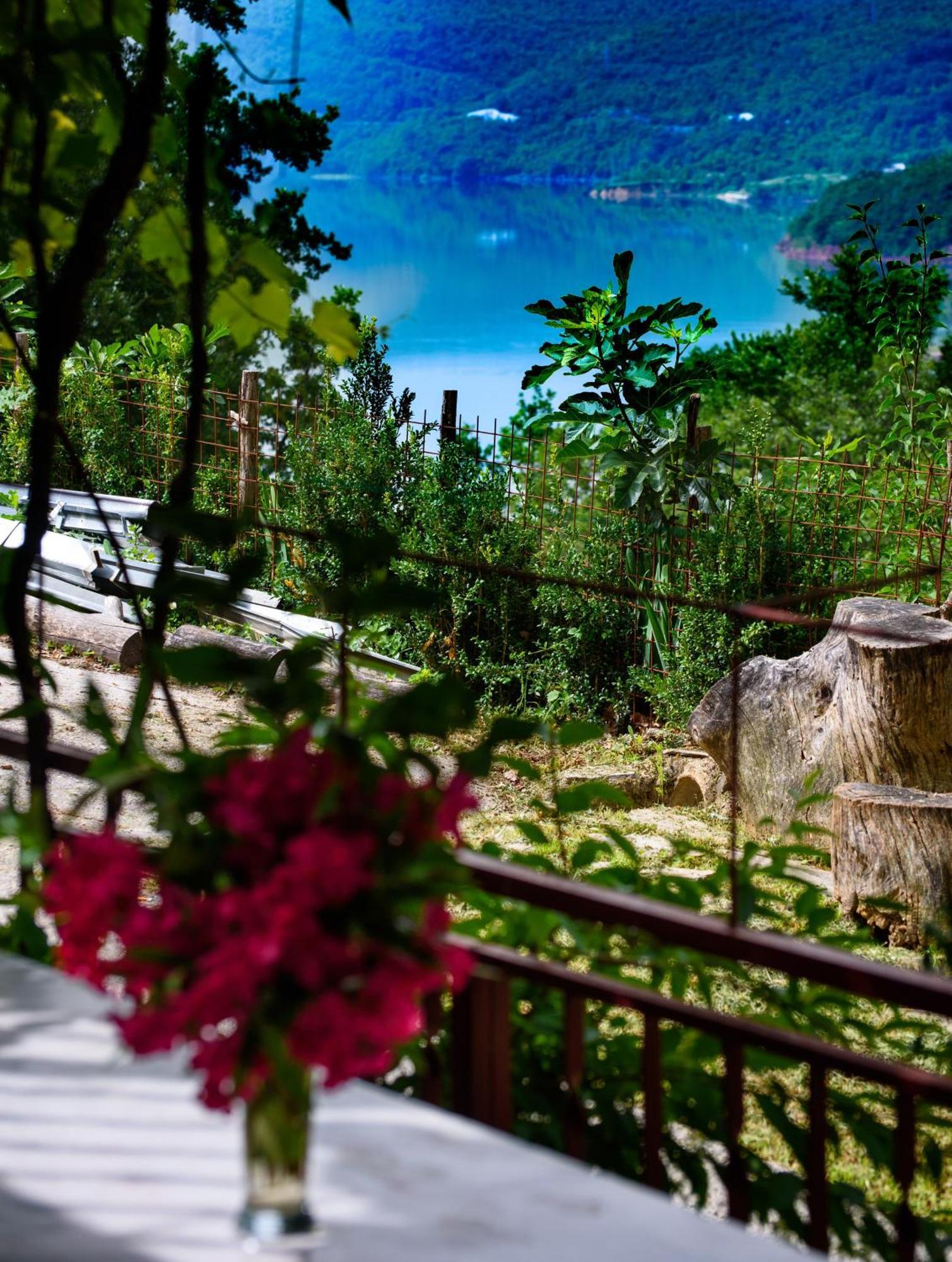 Apartments Cvitini Dvori Garjak Vrlika 外观 照片