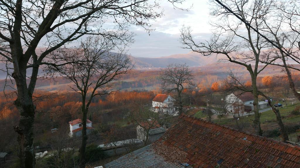 Apartments Cvitini Dvori Garjak Vrlika 外观 照片